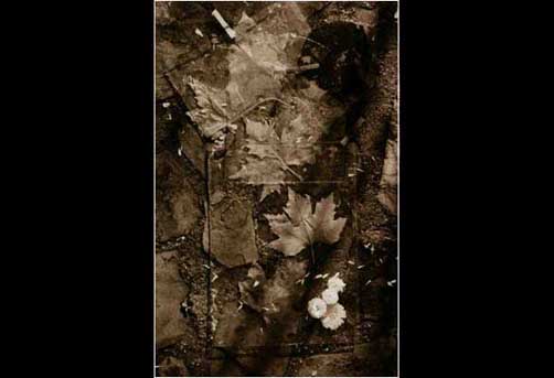 hojas 1 (julio garcía)